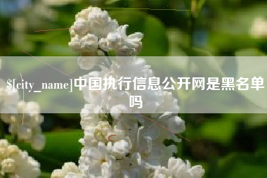 林州中国执行信息公开网是黑名单吗