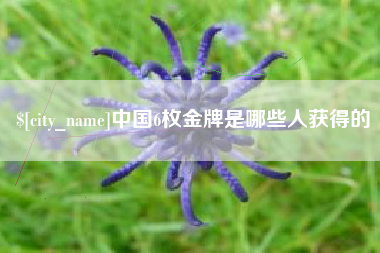 林州中国6枚金牌是哪些人获得的