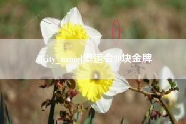 林州奥运会39块金牌