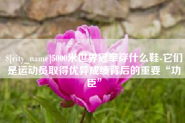 林州5000米世界冠军穿什么鞋-它们是运动员取得优异成绩背后的重要“功臣”