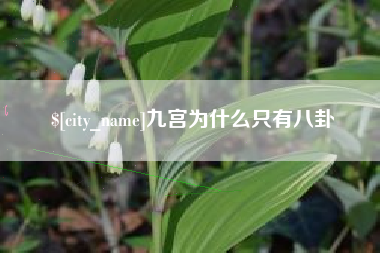 林州九宫为什么只有八卦