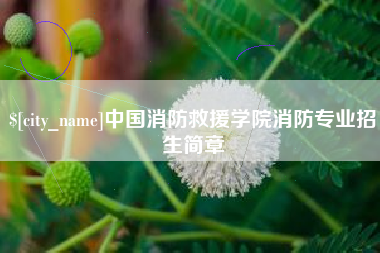 林州中国消防救援学院消防专业招生简章