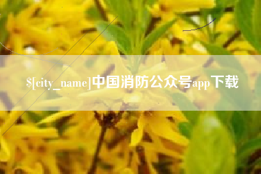 林州中国消防公众号app下载