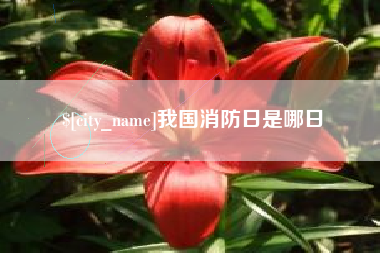 林州我国消防日是哪日