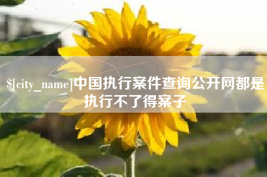 林州中国执行案件查询公开网都是执行不了得案子