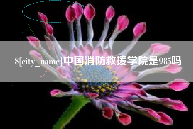 林州中国消防救援学院是985吗