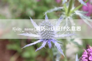 林州消防ccc认证什么意思