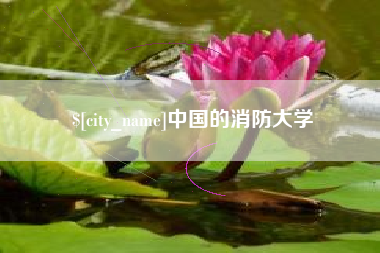 林州中国的消防大学