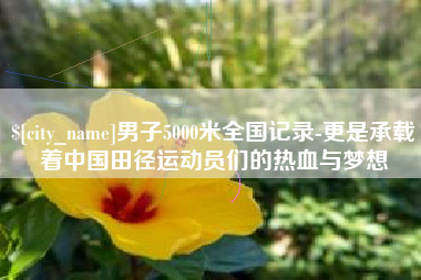 林州男子5000米全国记录-更是承载着中国田径运动员们的热血与梦想