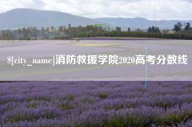林州消防救援学院2020高考分数线