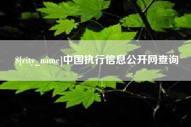 林州中国执行信息公开网查询
