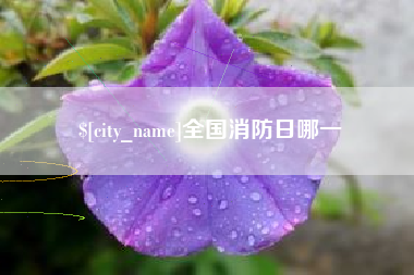 林州全国消防日哪一