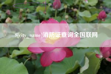 林州消防证查询全国联网