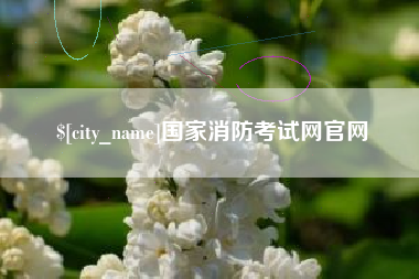 林州国家消防考试网官网