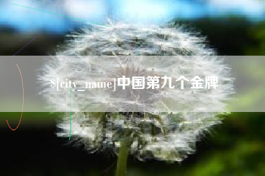 林州中国第九个金牌