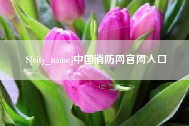 林州中国消防网官网入口