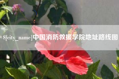 林州中国消防救援学院地址路线图