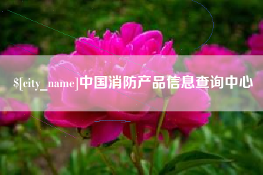 林州中国消防产品信息查询中心