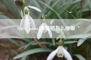 林州九宫格怎么排版