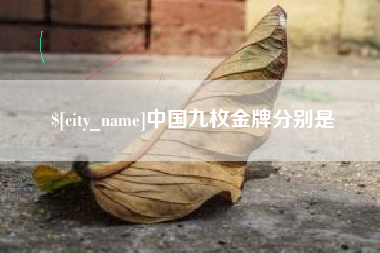 林州中国九枚金牌分别是
