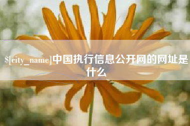 林州中国执行信息公开网的网址是什么