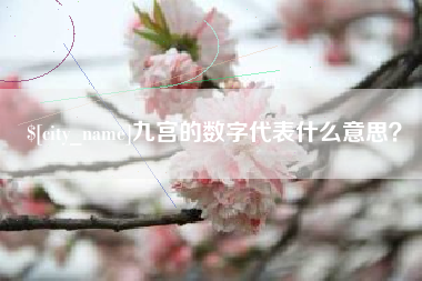 林州九宫的数字代表什么意思？