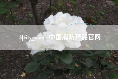 林州中国消防产品官网