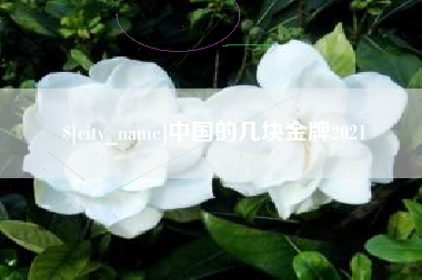 林州中国的几块金牌2021
