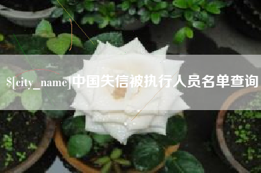 林州中国失信被执行人员名单查询