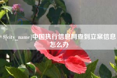林州中国执行信息网查到立案信息怎么办