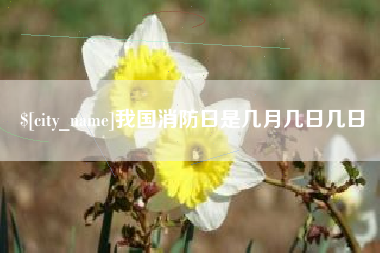 林州我国消防日是几月几日几日