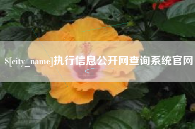 林州执行信息公开网查询系统官网
