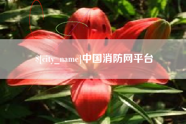 林州中国消防网平台
