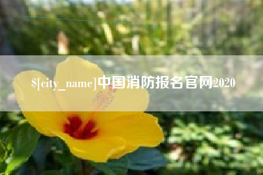 林州中国消防报名官网2020