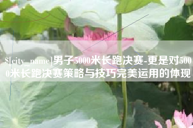 林州男子5000米长跑决赛-更是对5000米长跑决赛策略与技巧完美运用的体现