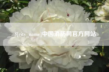 林州中国消防网官方网站