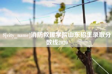 林州消防救援学院山东招生录取分数线2020