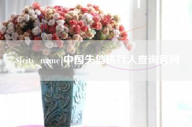 林州中国失信执行人查询官网