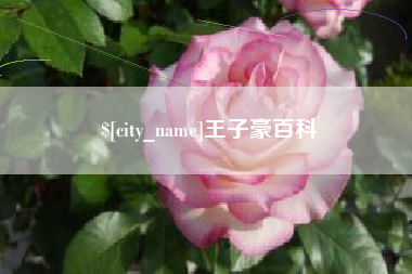 林州王子豪百科