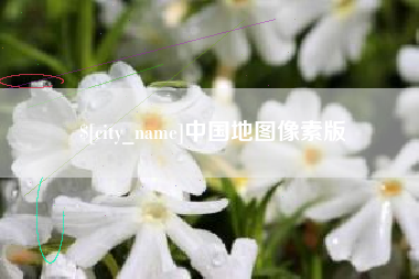 林州中国地图像素版