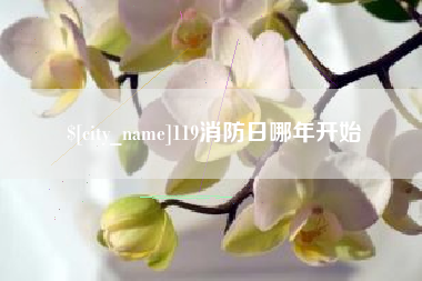 林州119消防日哪年开始