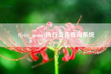 林州执行公告查询系统
