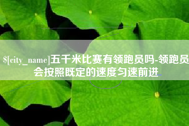 林州五千米比赛有领跑员吗-领跑员会按照既定的速度匀速前进