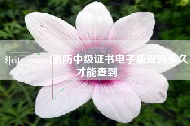 林州消防中级证书电子版查询多久才能查到