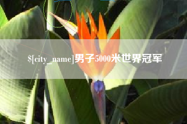 林州男子5000米世界冠军