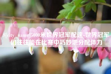 林州5000米世界冠军配速-世界冠军们往往能在比赛中巧妙地分配体力