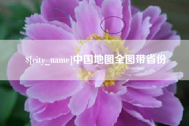 林州中国地图全图带省份