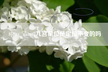 林州九宫星位是定位不变的吗