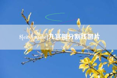 林州九宫图分割线图片