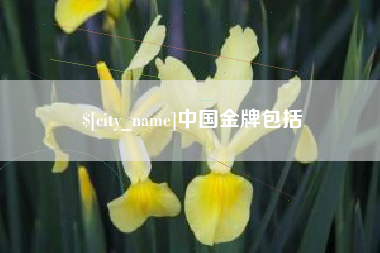 林州中国金牌包括